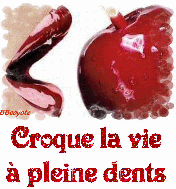 D'accord ou pas d'accord